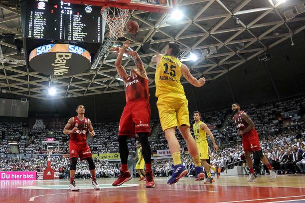 排球这一项 排球这一项